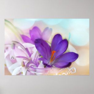Foto van een  Paarse Lente Crocus Poster