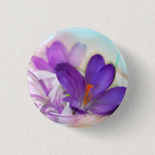 Foto van een  Paarse Lente Crocus Ronde Button 3,2 Cm (Voorkant)