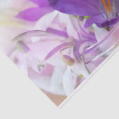 Foto van een  Paarse Lente Crocus Tissuepapier (Detail)