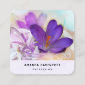 Foto van een  Paarse Lente Crocus Vierkante Visitekaartje (Voorkant)