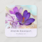 Foto van een  Paarse Lente Crocus Vierkante Visitekaartje (Voorkant)