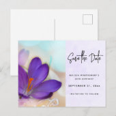 Foto van een Paarse lentescrocus Save the Date Uitnodiging Briefkaart (Voorkant / Achterkant)