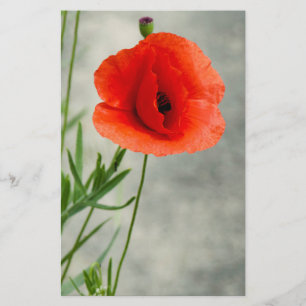 Foto van één papaverbloem flyer