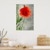 Foto van één papaverbloem poster (Keuken)