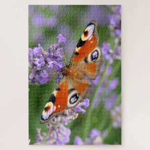 Foto van een pauwoogvlinder op een bloem legpuzzel