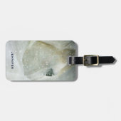 Foto van een prachtig wit paard in de winter bagagelabel (Voorkant horizontaal)