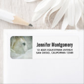 Foto van een prachtig wit paard in de winter etiket (Insitu)