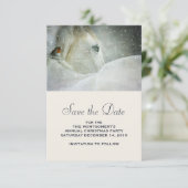 Foto van een prachtig wit paard in de winter save the date (Staand voorkant)