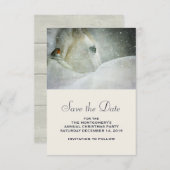 Foto van een prachtig wit paard in de winter save the date (Voorkant / Achterkant)