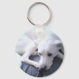 Foto van een prachtige White Labrador Retriever Mi Sleutelhanger