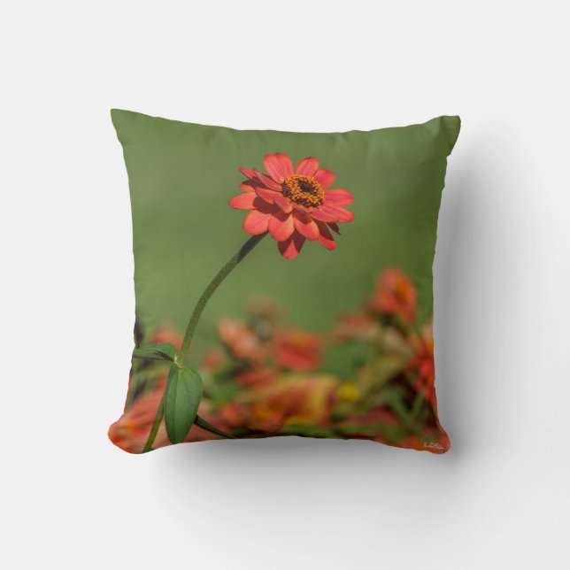 foto van een rode bloem. kussen (Voorkant)
