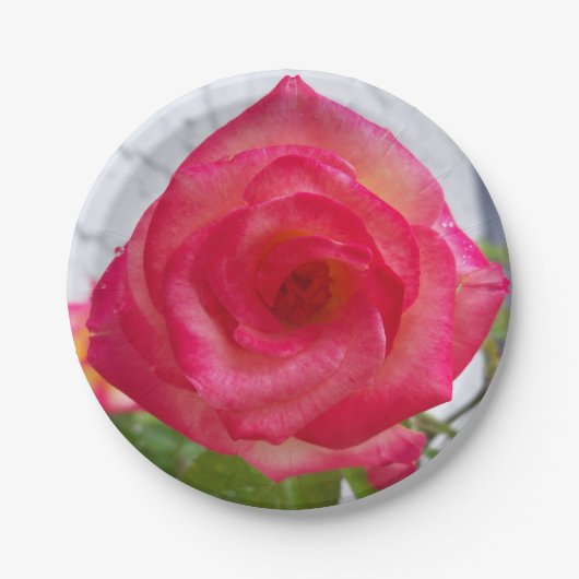 Foto van een roos dicht bij een papieren bord (Voorkant)