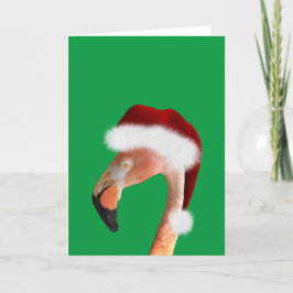 Foto van een roze flamingo in een rode kerstmanhoe feestdagen kaart