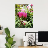 Foto van een roze Rose in Bloom Poster (Thuiskantoor)