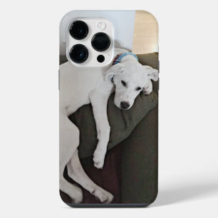 Foto van een schattige vermoeide puppy-hond die zi iPhone 14 pro max hoesje