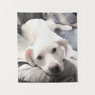 Foto van een schattige vermoeide puppy-hond met pa wandkleed