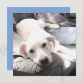 Foto van een schattige witte vermoeide hond met be feestdagenkaart (Voorkant / Achterkant)