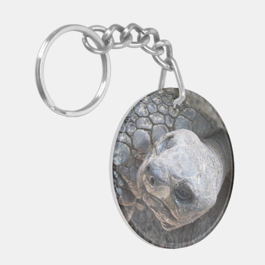 Foto van een schildpad op een sleutelhanger (Voorkant Links)