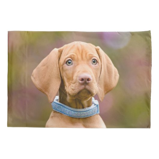 Foto van een scholier uit Hongarije Vizsla Dog Pup Kussensloop (Achterkant)