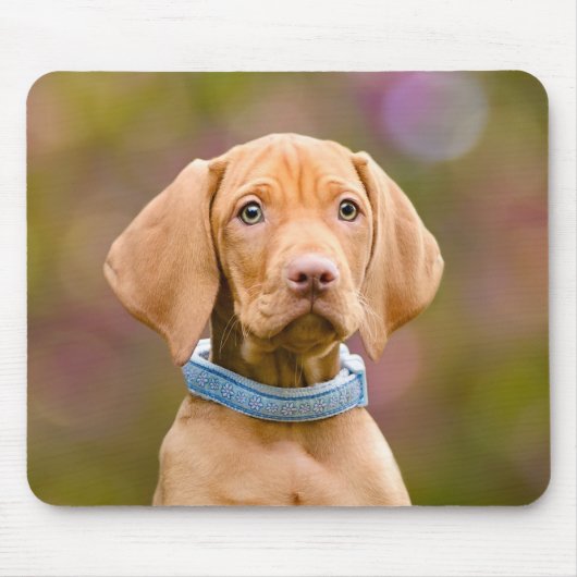 Foto van een scholier uit Hongarije Vizsla Dog Pup Muismat (Voorkant)