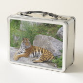 Foto van een Siberische tijger (Achterkant)