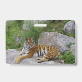 Foto van een Siberische tijger Badge (Achterkant)