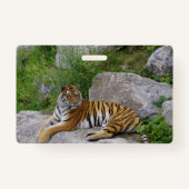 Foto van een Siberische tijger Badge (Achterkant)