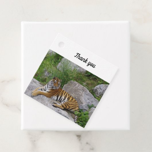 Foto van een Siberische tijger Bedankjes Labels (In situ)