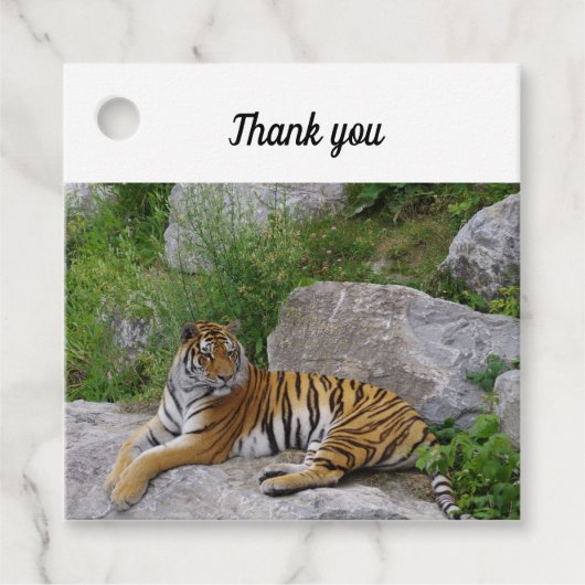 Foto van een Siberische tijger Bedankjes Labels (Voorkant)