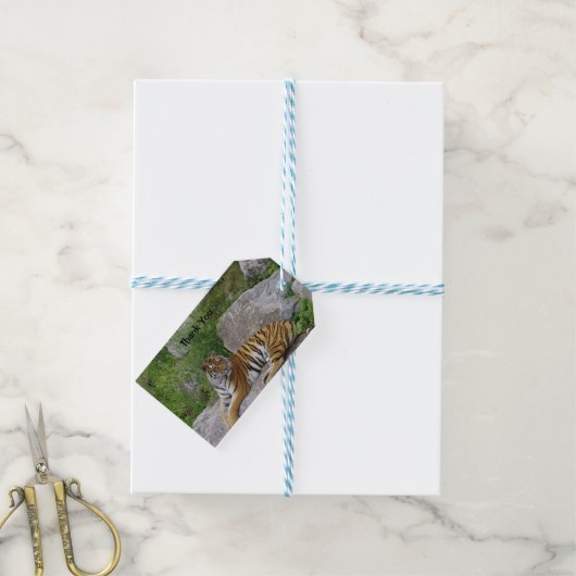 Foto van een Siberische tijger Cadeaulabel (Met Touw)
