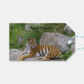 Foto van een Siberische tijger Cadeaulabel (Voorkant (Horizontaal))