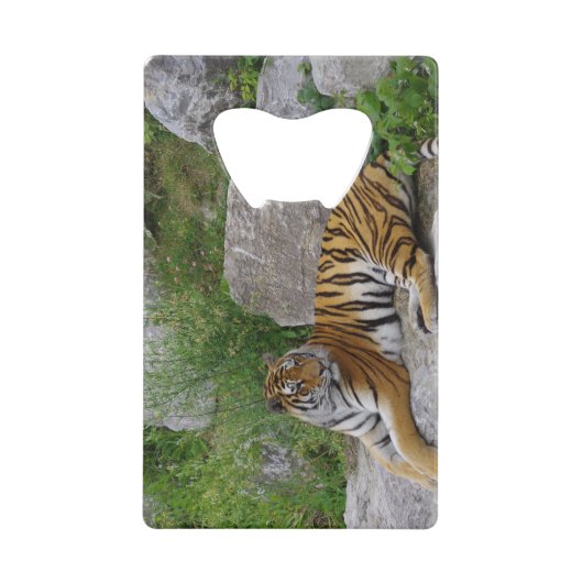 Foto van een Siberische tijger Creditkaart Flessenopener (Voorkant)