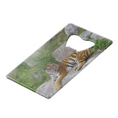Foto van een Siberische tijger Creditkaart Flessenopener (Achterkant Gekanteld)