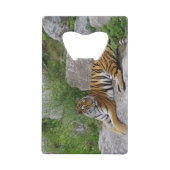 Foto van een Siberische tijger Creditkaart Flessenopener (Achterkant)