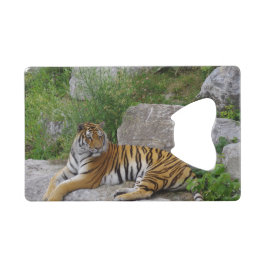 Foto van een Siberische tijger Creditkaart Flessenopener