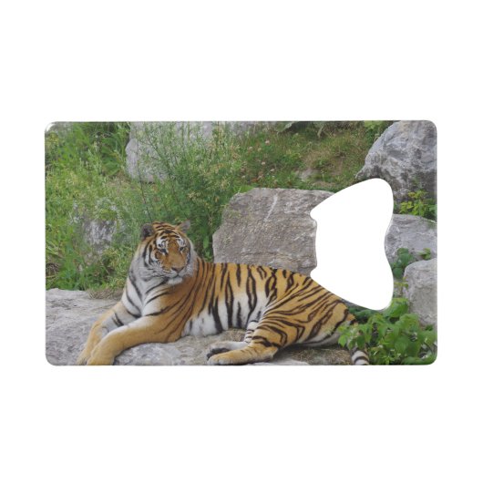 Foto van een Siberische tijger Creditkaart Flessenopener (Voorkant (Horizontaal))