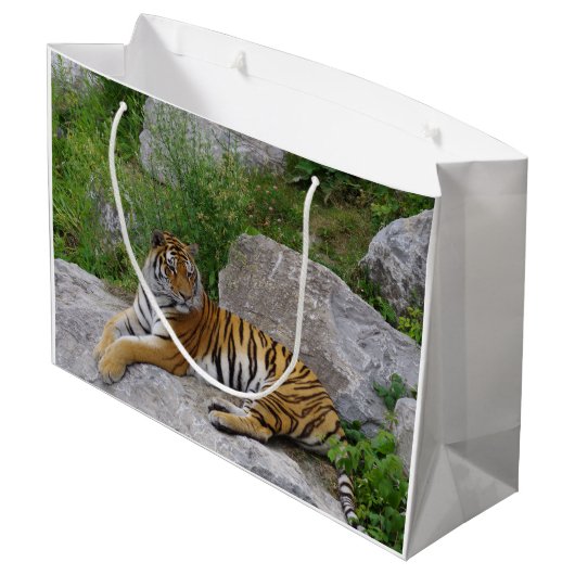 Foto van een Siberische tijger Groot Cadeauzakje (Achterkant Gekanteld)