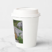 Foto van een Siberische tijger Papieren Bekers (Links)