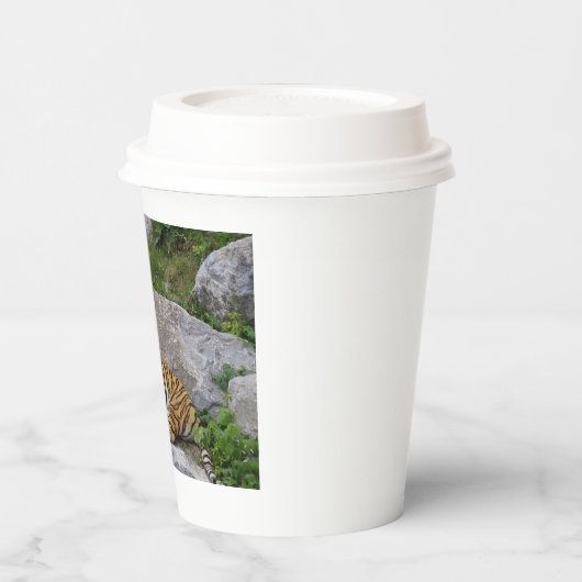 Foto van een Siberische tijger Papieren Bekers (Links)