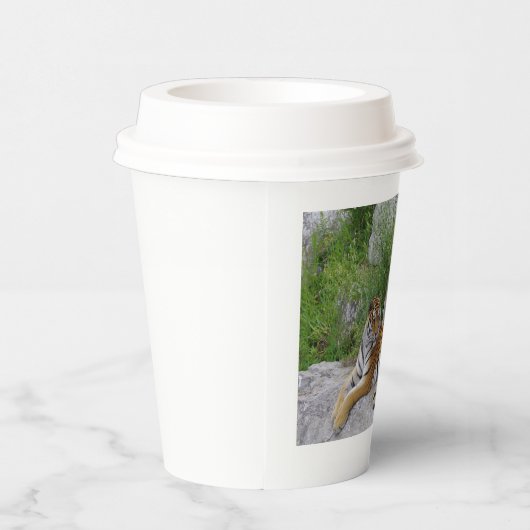 Foto van een Siberische tijger Papieren Bekers (Rechts)