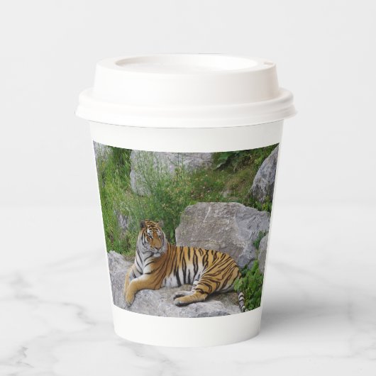 Foto van een Siberische tijger Papieren Bekers (Voorkant)