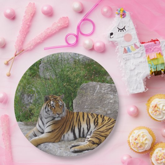Foto van een Siberische tijger Papieren Bordje (Feest)