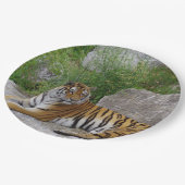 Foto van een Siberische tijger Papieren Bordje (Gekanteld)