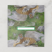 Foto van een Siberische tijger Plaatskaartje (Buitenkant ongevouwen)