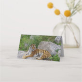 Foto van een Siberische tijger Plaatskaartje (Achterkant)