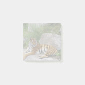 Foto van een Siberische tijger Post-it® Notes (Voorkant)