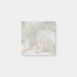Foto van een Siberische tijger Post-it® Notes
