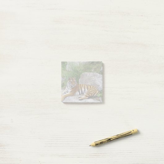 Foto van een Siberische tijger Post-it® Notes (Op bureau)