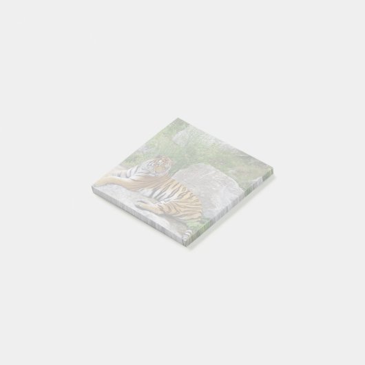 Foto van een Siberische tijger Post-it® Notes (Schuin)