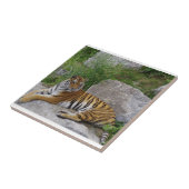 Foto van een Siberische tijger Tegeltje (Zijkant)
